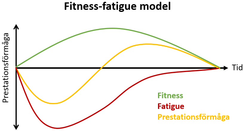 Fitness-fatigue model